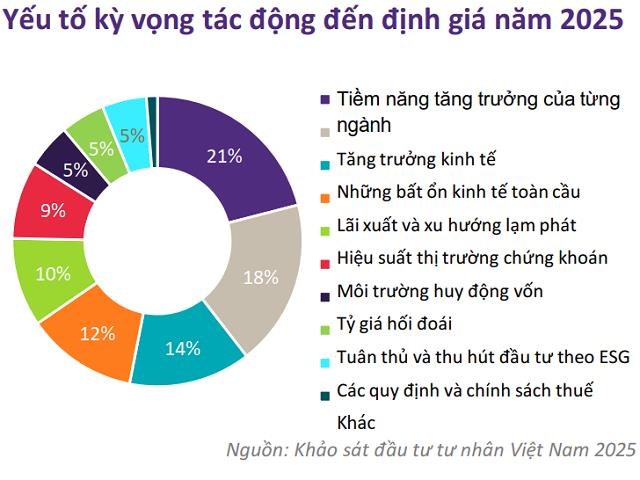 Thị trường PE Việt Nam 2025: Kỳ vọng định gi&#225; tăng vọt, d&#242;ng tiền hướng về Y tế, C&#244;ng nghệ sau năm 2024 &#39;ảm đạm&#39;? - Ảnh 3