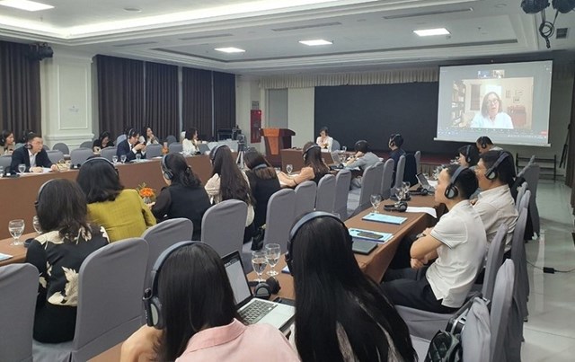 C&aacute;c đại biểu nghe chuy&ecirc;n gia UNICEF trao đổi kinh nghiệm qua cầu truyền h&igrave;nh.