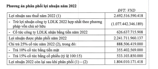 Cơ điện lạnh (REE) sắp ph&#225;t h&#224;nh 53,3 triệu cổ phiếu trả cổ tức năm 2022 - Ảnh 1