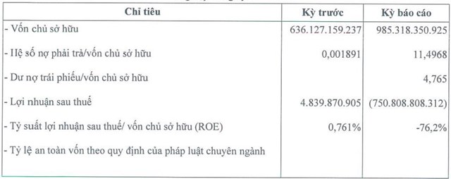Đầu tư Kinh doanh v&#224; Ph&#225;t triển Đ&#244; thị Ng&#244;i Sao Phương Nam lỗ gần 751 tỷ đồng - Ảnh 1