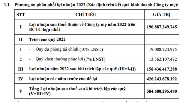 CenLand (CRE) đặt mục ti&#234;u l&#227;i năm 2023 đạt 168 tỷ đồng, kh&#244;ng chia cổ tức năm 2022 - Ảnh 2