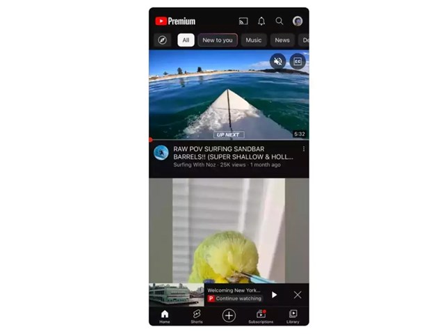 T&#237;nh th&#234;m ph&#237;, người d&#249;ng YouTube Premium c&#243; th&#234;m t&#237;nh năng mới g&#236;? - Ảnh 2