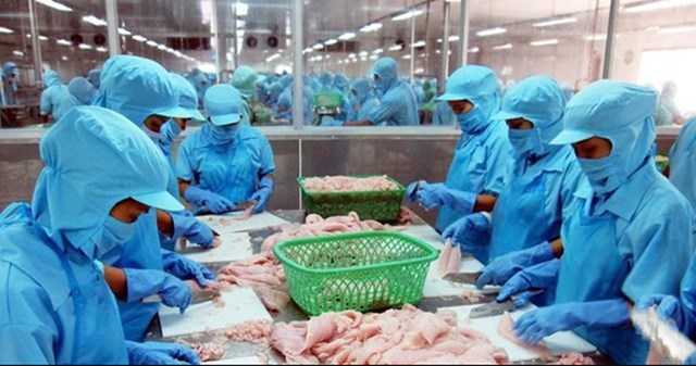 Vĩnh Ho&#224;n (VHC) dự kiến lợi nhuận qu&#253; I đạt 540 tỷ đồng, lợi nhuận cả năm đạt hơn 1.600 tỷ đồng - Ảnh 1