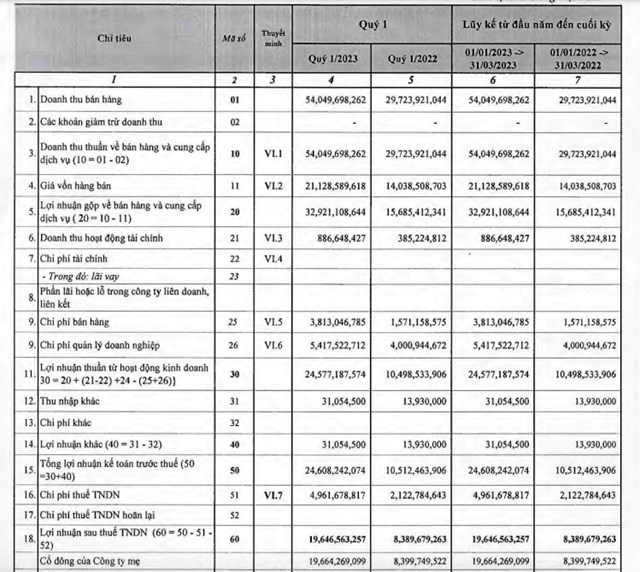 Kết quả kinh doanh qu&yacute; I/2023 của DSN