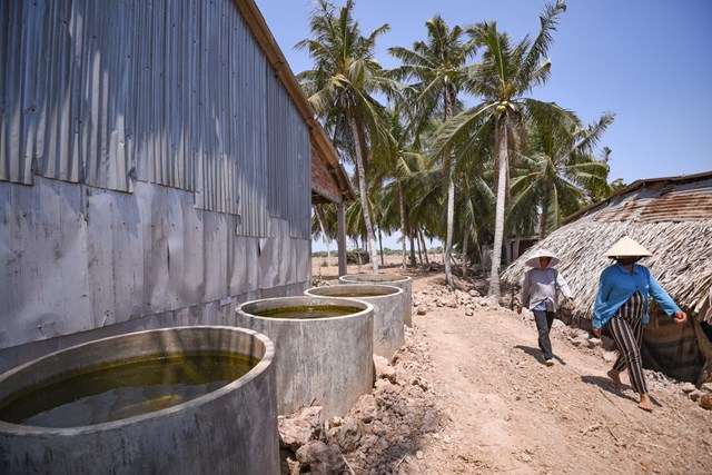 Người d&acirc;n tại Ba Tri, Bến Tre t&iacute;ch trữ nước ngọt trong bể xi măng&nbsp;&nbsp;(Ảnh: T&ugrave;ng Đinh, T&acirc;n &Aacute; Đại Th&agrave;nh)