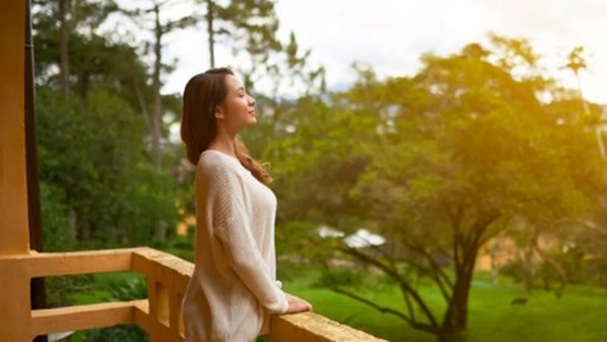 Hiểu được tầm quan trọng của việc c&acirc;n bằng giữa c&ocirc;ng việc v&agrave; cuộc sống, nhiều người trẻ muốn t&igrave;m kiếm kh&ocirc;ng gian xanh nhưng cũng đầy đủ tiện &iacute;ch để tận hưởng v&agrave; l&agrave;m mới bản th&acirc;n &nbsp;