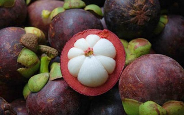 Kh&#225;m ph&#225; sản vật Miền Nam Việt Nam (Kỳ 1): sầu ri&#234;ng L&#225;i Thi&#234;u, măng cụt L&#225;i Thi&#234;u, b&#250;n t&#244;m Ch&#226;u Tr&#250;c, b&#225;nh b&#232;o b&#236; chợ B&#250;ng - Ảnh 2