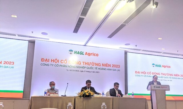 ĐHĐCĐ 2023: HNG đặt mục ti&#234;u lỗ hơn 2.3 ng&#224;n tỷ, chấp nhận hủy ni&#234;m yết để trở lại mạnh mẽ - Ảnh 1