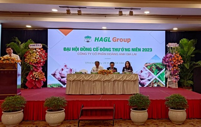 ĐHĐCĐ 2023: Ho&#224;ng Anh Gia Lai (HAG) thưởng 20 triệu ESOP cho những người gắn b&#243; với c&#244;ng ty, kh&#244;ng kiểm so&#225;t c&#244;ng ty b&#225;n thịt heo v&#224; tập trung nu&#244;i heo ăn chuối - Ảnh 1