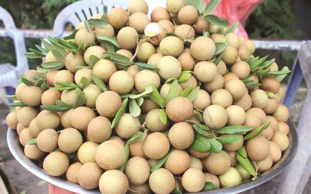 Nh&atilde;n xuồng cơm v&agrave;ng.