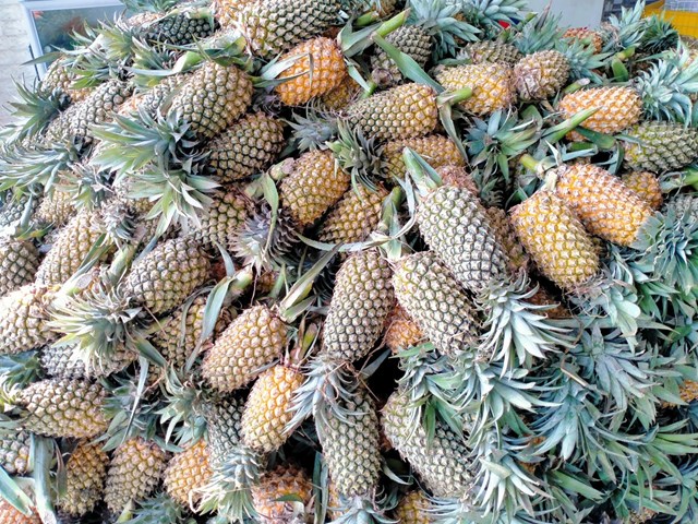 Kh&oacute;m (dứa, thơm) T&acirc;n Lập.