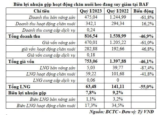 BaF Việt Nam (BAF) qu&#253; 1/2023 tho&#225;t lỗ nhờ lợi nhuận kh&#225;c - Ảnh 2