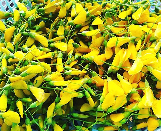Kh&#225;m ph&#225; sản vật miền Nam Việt Nam (Kỳ 10): b&#244;ng đi&#234;n điển, b&#244;ng s&#250;ng mắm kho, c&#225; l&#243;c nướng trui, nem Lai Vung - Ảnh 2