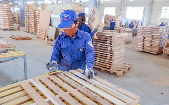 Ph&#250; T&#224;i (PTB) dự kiến chia cổ tức tiền mặt tỷ lệ 20%, doanh thu qu&#253; 1/2023 sụt giảm mạnh - Ảnh 1