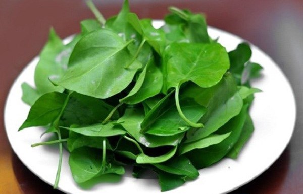 L&aacute; giang -&nbsp;một loại l&aacute; đặc biệt c&oacute; vị chua thanh đặc biệt. &nbsp;