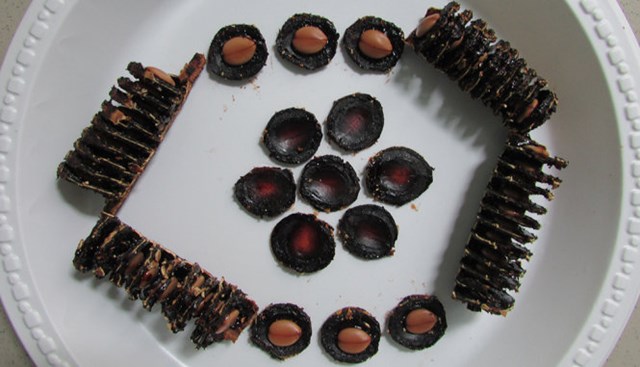Thịt (cơm) v&agrave; hạt &ocirc; m&ocirc;i.