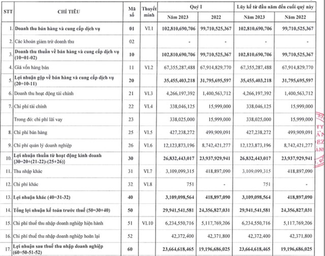 Nguồn: B&aacute;o c&aacute;o t&agrave;i ch&iacute;nh Q1/2023