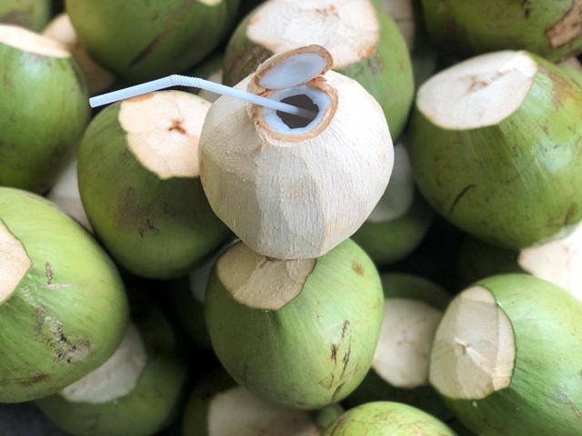 Kh&#225;m ph&#225; sản vật miền Nam Việt Nam (Kỳ 14): dừa Bến Tre, sầu ri&#234;ng C&#225;i Mơn, bưởi da xanh, v&#250; sữa bơ hồng Ba Long - Ảnh 1