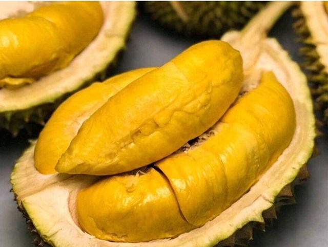 Sầu ri&ecirc;ng C&aacute;i Mơn.