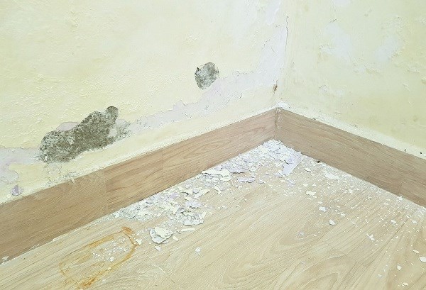Mua nh&#224; nhỏ trong ng&#245; s&#226;u, gi&#225; rẻ nhưng ở th&#236; chật vật, b&#225;n th&#236; kh&#243;: Mua nh&#224; đừng chọn 6 kiểu &quot;nh&#224; ngh&#232;o&quot;, ham của rẻ th&#236; thiệt th&#242;i nhiều - Ảnh 2