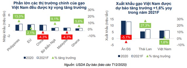 Động lực n&#224;o gi&#250;p cổ phiếu Lộc Trời (LTG) chiến thắng thị trường? - Ảnh 3