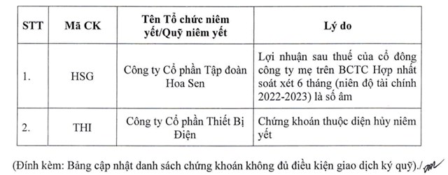 Cổ phiếu HSG của Tập đo&#224;n Hoa Sen kh&#244;ng được giao dịch k&#253; quỹ do lỗ b&#225;n ni&#234;n, tổng cộng 80 cổ phiếu bị cắt margin tr&#234;n HoSE - Ảnh 1