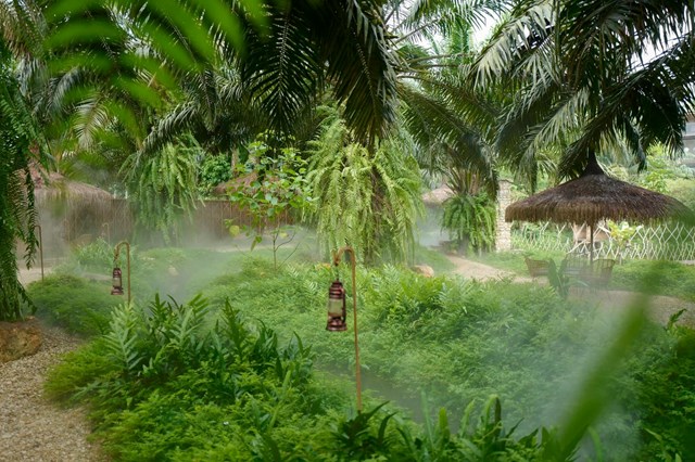 Homestay 2ha gi&#225; 45 tỷ đồng, chủ nh&#224; vẫn than lỗ: “Tiền đầu tư gấp h&#224;ng chục lần tiền mua đất”? - Ảnh 1