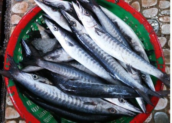 Kh&#225;m ph&#225; sản vật miền Nam Việt Nam (Kỳ 24): bi&#234;n mai An Thới, rượu mỏ quạ, h&#224;o bao, c&#225; nhồng v&#224; ngọc trai Ph&#250; Quốc - Ảnh 1