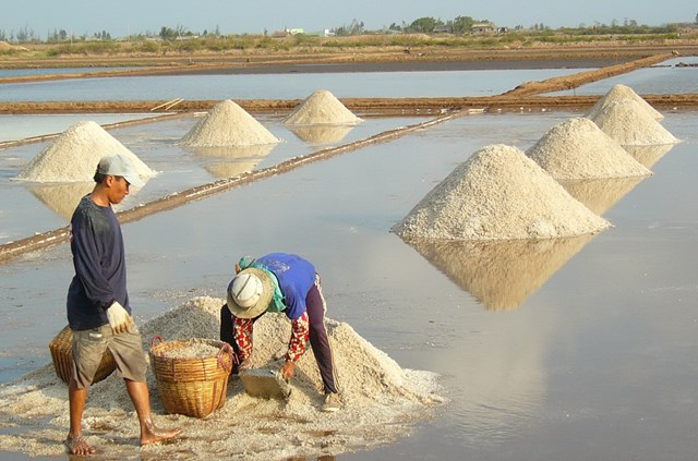 Kh&#225;m ph&#225; sản vật miền Nam Việt Nam (Kỳ 25): gạo Một bụi đỏ Hồng D&#226;n, muối, dừa nước v&#224; bồn bồn Bạc Li&#234;u - Ảnh 2