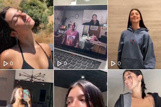 H&agrave;ng loạt video chỉ hiển thị 0 lượt xem khiến nhiều người d&ugrave;ng tin rằng lệnh cấm TikTok đ&atilde; được ứng dụng tại Mỹ. Ảnh:&nbsp;Chụp m&agrave;n h&igrave;nh.