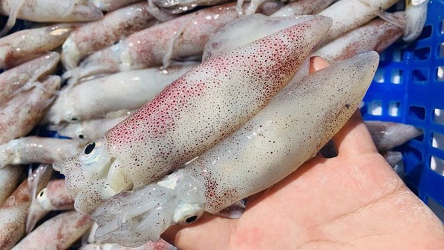 Kh&#225;m ph&#225; sản vật miền Nam Việt Nam (Kỳ 26): ba kh&#237;a Rạch Gốc, mật ong rừng U Minh, chả trứng mực C&#224; Mau, ch&#225;o trăn s&#244;ng Trẹm - Ảnh 1