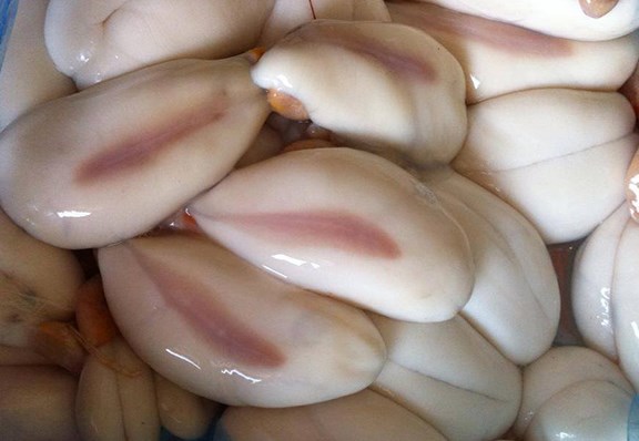 Trứng mực, nguy&ecirc;n liệu ch&iacute;nh để l&agrave;m n&ecirc;n m&oacute;n chả trứng mực, đặc sản của v&ugrave;ng Đất Mũi.
