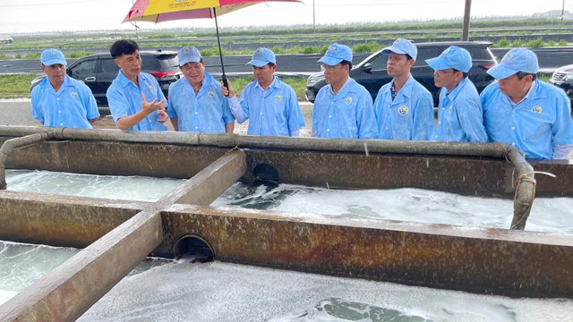 &Ocirc;ng L&ecirc; Văn Sử tham quan khu nu&ocirc;i t&ocirc;m C&ocirc;ng ty Cổ phần Việt &Uacute;c Nh&agrave; M&aacute;t.