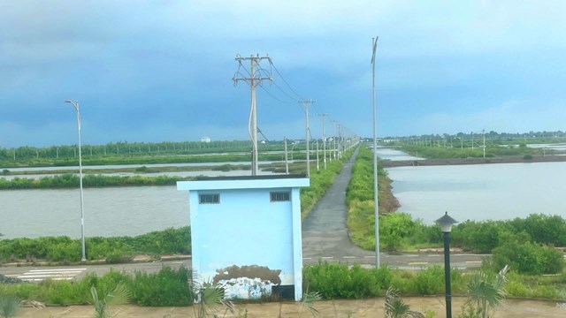 Một g&oacute;c Khu n&ocirc;ng nghiệp ứng dụng c&ocirc;ng nghệ cao ph&aacute;t triển t&ocirc;m Bạc Li&ecirc;u.