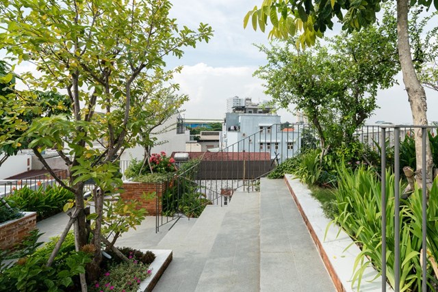 Vườn tr&ecirc;n s&acirc;n thượng cũng c&oacute; lan can để chia c&aacute;c khu vực trồng c&acirc;y./.