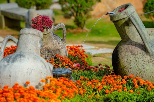 Mu&ocirc;n hoa khoe sắc tại n&uacute;i B&agrave; Đen. &nbsp;