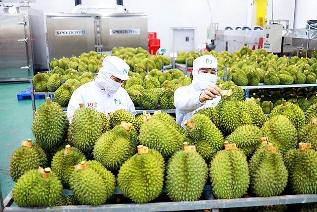 EVFTA – Động lực cải c&#225;ch thể chế v&#224; định hướng ph&#225;t triển xanh - Ảnh 1