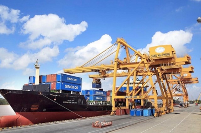 Doanh nghiệp xuất nhập khẩu Việt đang phải gồng mình trước hàng loạt rào cản. (Ảnh minh họa: VGP)