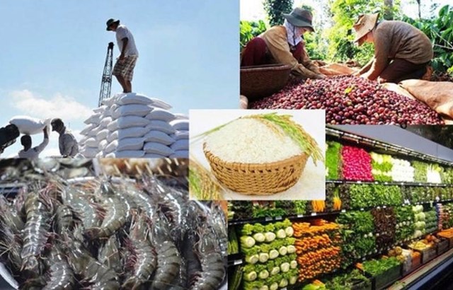 Kim ngạch xuất khẩu nông, lâm, thủy sản sang EU tăng cao.