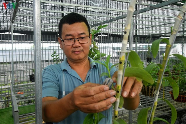 Anh Trịnh Đắc To&agrave;n - chủ nh&agrave; vườn hoa lan Trịnh To&agrave;n ở Đ&ocirc;ng La
