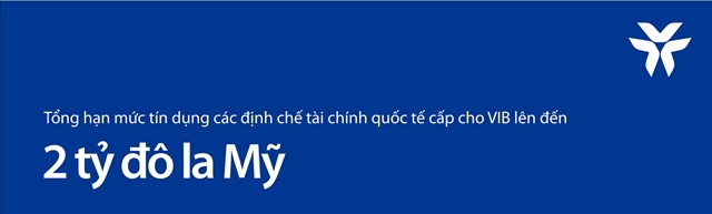 VIB: Lợi nhuận 6 th&#225;ng đầu năm 2023 tăng 12%, ROE đạt 29% - Ảnh 3