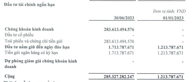 Lợi nhuận qu&#253; II/2023 của Tập đo&#224;n H&#224; Đ&#244; (HDG) giảm 81% - Ảnh 2