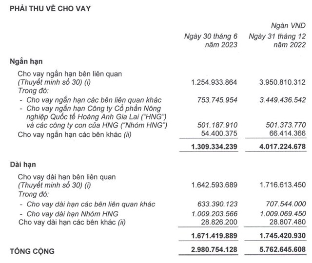 Qu&#253; 2/2023, Ho&#224;ng Anh Gia Lai (HAG) tho&#225;t lỗ nhờ lợi nhuận kh&#225;c - Ảnh 3