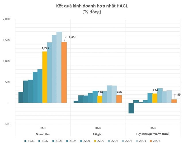 Qu&#253; 2/2023, Ho&#224;ng Anh Gia Lai (HAG) tho&#225;t lỗ nhờ lợi nhuận kh&#225;c - Ảnh 2