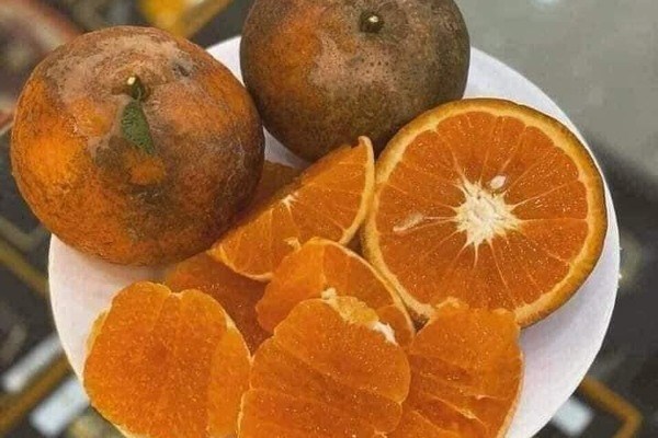 Cam s&agrave;nh H&agrave; Giang l&agrave; một trong những đặc sản nổi tiếng cả nước.