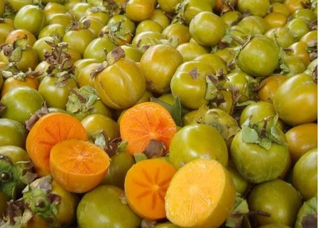 Kh&#225;m ph&#225; sản vật miền Bắc Việt Nam (Kỳ 1): ch&#232; Shan Tuyết Cao Bồ, hồng kh&#244;ng hạt Quản Bạ, rượu th&#243;c N&#224;ng Đ&#244;n, cam s&#224;nh H&#224; Giang - Ảnh 1