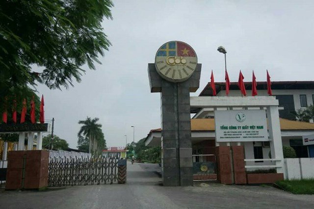 Năm 2006, Giấy B&atilde;i Bằng trở th&agrave;nh một th&agrave;nh vi&ecirc;n của Tổng c&ocirc;ng ty Giấy Việt Nam, đ&oacute;ng g&oacute;p hơn 50% sản lượng giấy.&nbsp;