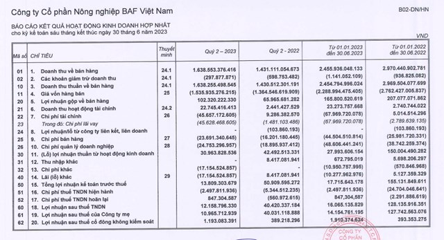 C&#244;ng ty N&#244;ng nghiệp BAF Việt Nam (BAF) g&#243;p tiền lập c&#244;ng ty ph&#226;n b&#243;n hữu cơ vi sinh c&#243; vốn điều lệ 20 tỷ - Ảnh 1