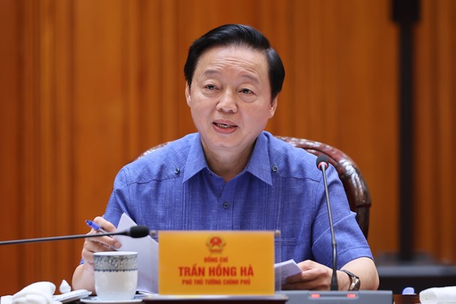 Ph&oacute; Thủ tướng Trần Hồng H&agrave; ph&aacute;t biểu tại cuộc họp - Ảnh: VGP/Nhật Bắc