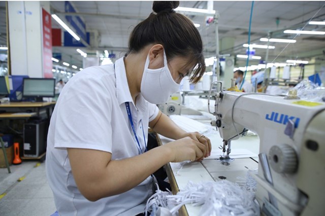 Ng&#226;n h&#224;ng Ch&#237;nh s&#225;ch X&#227; hội duyệt 213 hồ sơ vay, giải ng&#226;n 145 tỷ đồng để hỗ trợ trả lương cho người lao động - Ảnh 1
